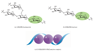 碘淀粉显色作用的实验探究<sup>*</sup>——碘熏法固定纸制品表面的潜在手印