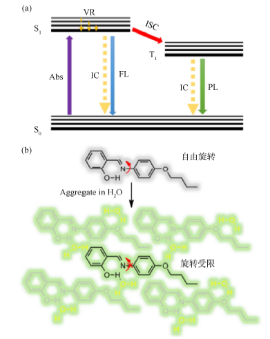 利用聚集诱导发光现象观察分子定向运动的综合实验<sup>*</sup>