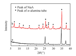 微波辅助加热法制备NaA沸石膜及其性能研究的综合化学化工实验<sup>*</sup>