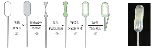 促进学生“科学探究与创新意识”素养的发展<sup>*</sup>——以“氢氧化亚铁的制备”为例