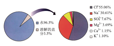 基于学生核心素养培养的教学活动设计研究——以“氯的单质及化合物”单元教学为例