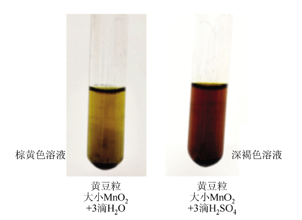 培养高阶思维和核心素养的高考有效复习——以“从海洋到餐桌上的碘”为例