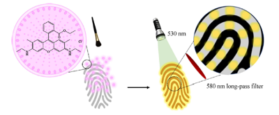 荧光染料-硅藻土复合物显现潜在手印的实验探究<sup>*</sup>——将法庭科学融入化学实验教学