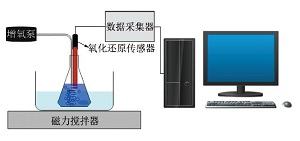 “蓝瓶子”实验再探究<sup>*</sup>