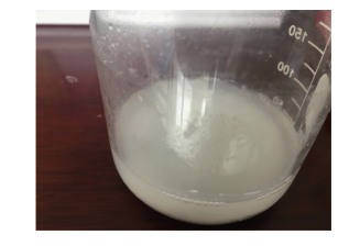 探究镁与氯化钠溶液反应的微观过程<sup>*</sup>