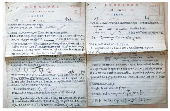 用生命谱写化学教育的壮丽乐章——曹居东教授书籍和手稿整理随笔