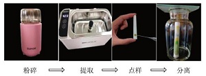 粉笔分离菠菜色素实验条件优化<sup>*</sup>