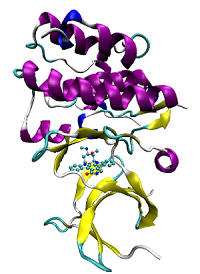 基于虚拟现实的分子对接教学软件<sup>*</sup>