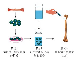 以“豆腐的制作”畅谈胶体知识与水凝胶的前沿应用