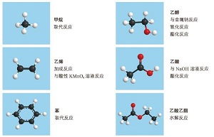 凸显学科核心思想 促进素养进阶发展——鲁科版高中化学新教材《有机化学基础》编写思路及使用建议