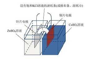 素养导向的项目教学研究——以盐桥概念为例