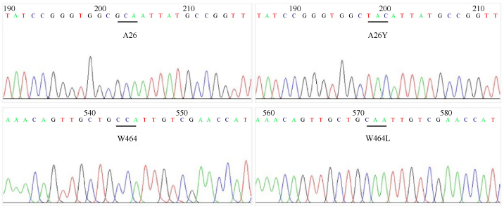 农药靶标抗性研究在大学化学生物学综合实验中的实践