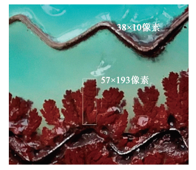 卤化物对铜铝置换反应速率的影响研究<sup>*</sup>