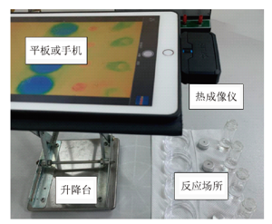 基于热成像仪从能量视角辨观化学反应<sup>*</sup>