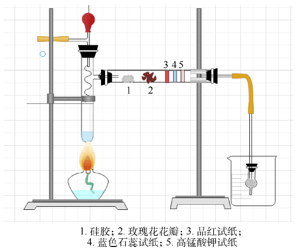 基于师范生创新能力培养的化学教学论实验课程教学研究<sup>*</sup>