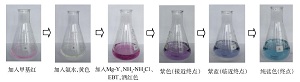 EDTA标定实验中关键试剂“量”的探究<sup>*</sup>