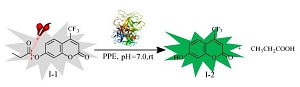 弹性蛋白酶生物催化酯水解的综合实验设计<sup>*</sup>
