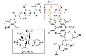 木质素<em>β</em>-O-4单元的光化学和电化学降解:醚键断裂反应的一种应用<sup>*</sup>