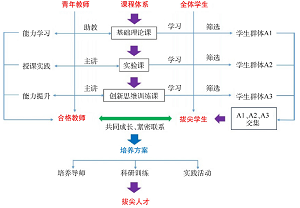 化学类拔尖学生培养与高校青年教师成长协同发展实践<sup>*</sup>