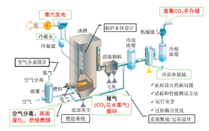 大概念统领的项目式学习——基于碳中和理念设计低碳行动方案