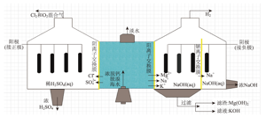 “海水提镁”项目式教学设计与实践<sup>*</sup>