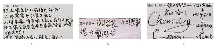 初中化学“科学探究主题复习”项目式教学<sup>*</sup>——比较不同果蔬中维生素C的含量