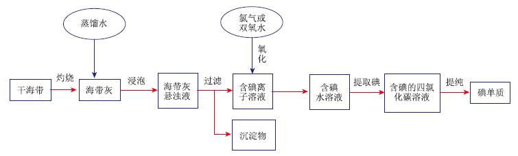 基于项目式学习的高三化学实验和工艺流程专题复习<sup>*</sup>——以“海带中碘的提取”为例