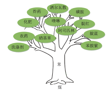 基于化学学科理解的教学——以“苯”为例