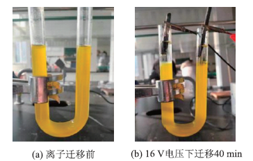 “离子迁移”实验的改进及其实验条件优化<sup>*</sup>