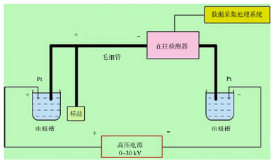 毛细管区带电泳法分离测定磺胺药物残留综合实验设计与实践<sup>*</sup>