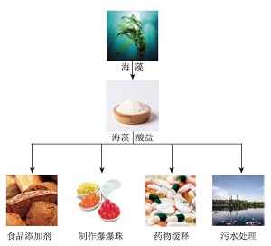 海藻酸盐水凝胶在食品、医药和环保中的应用综合实验<sup>*</sup>