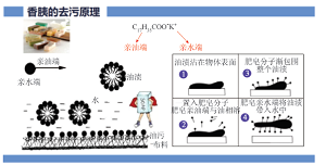 大概念引领下的真实情境结构化教学实践<sup>*</sup>——羧酸及其衍生物