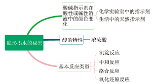 初中化学“酸与碱”专题复习的项目式教学<sup>*</sup>——制作神奇的隐形墨水