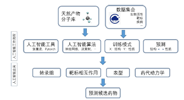 人工智能发现活性分子背景下天然药物化学教学的转型与发展<sup>*</sup>