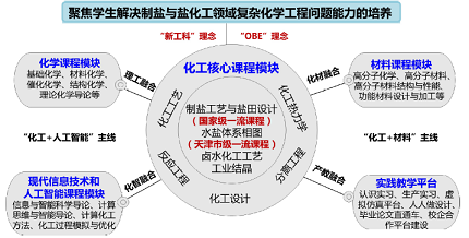 以制盐与盐化工为特色的化学工程与工艺专业改造升级<sup>*</sup>