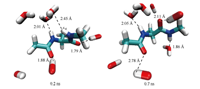 VMD在分子间相互作用教学中的应用<sup>*</sup>——以丙氨酸二肽与水形成的氢键为例