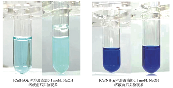 基于核心素养发展的高中化学深度教学<sup>*</sup>——探究配合物的性质