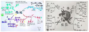 社会性科学议题的教学设计与实践——核能发展的进与退