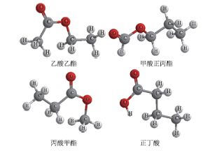 有机物同分异构体的学习进阶研究<sup>*</sup>