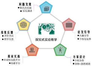 面向一流专业人才培养的中药制药化学探究式实验教学<sup>*</sup>——甘草酸缔合态