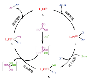 基于Suzuki-Miyaura偶联反应探索有机化学反应机理的创新实验设计<sup>*</sup>