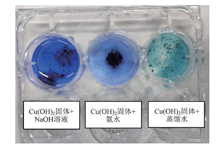 以延伸课堂实验与发展化学学科能力为导向的期末试题的命制——学生必做实验“简单配合物的制备”