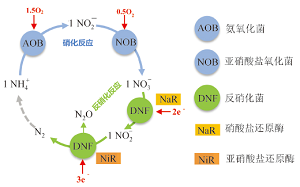 基于社会性科学议题开展化学职业生涯教育<sup>*</sup>——污水处理厂的氮污染治理