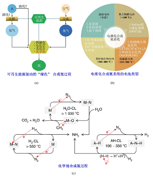 无机化学中氮族元素重构内容的教学设计与实践<sup>*</sup>