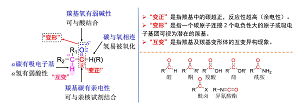 “变正、变形、互变”:三变观念下羰基的整体化教学