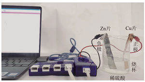 利用手持技术探究原电池“电极反转”双模型的反应机理<sup>*</sup>