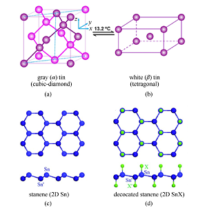 金属锡的同素异形体<sup>*</sup>