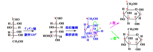 课程思政背景下促进科学探究意识的“糖类化合物”混合式教学实践<sup>*</sup>