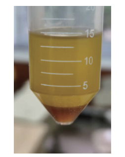 基于STEAM理念的项目式教学<sup>*</sup>——制备生物柴油