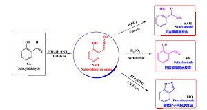 水杨醛肟“多向性”有机合成实验设计<sup>*</sup>